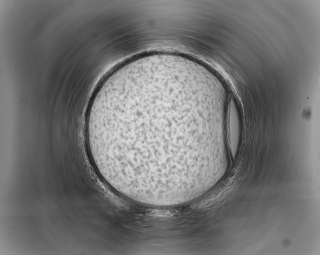 X0000097870799200804110923