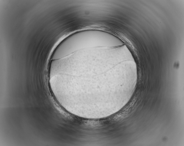 X0000097870800200804110923
