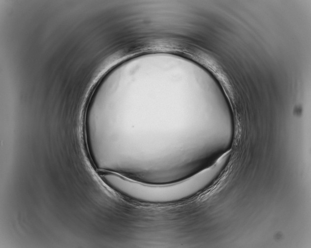 X0000097870803200804110923