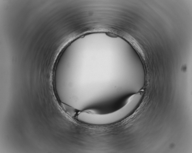 X0000097870805200804110923