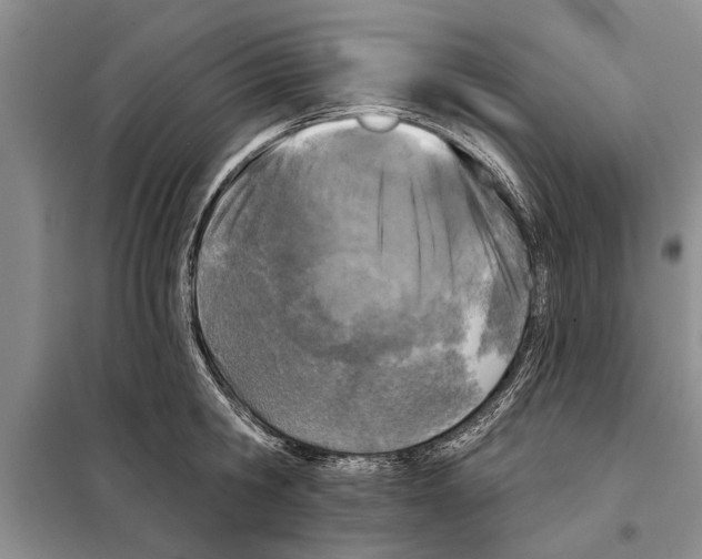 X0000097870806200804110923