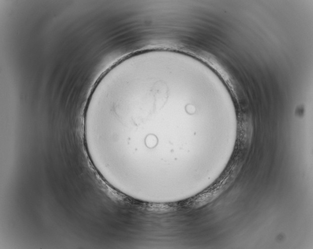 X0000097870807200804110923