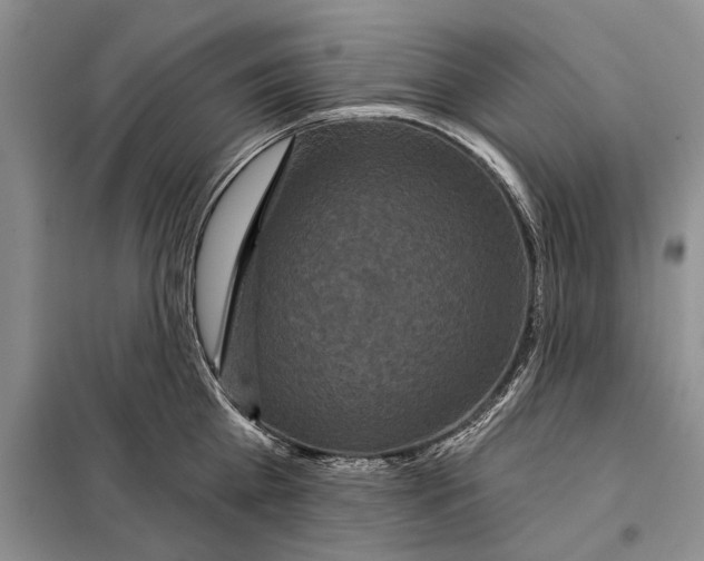 X0000097870809200804110923