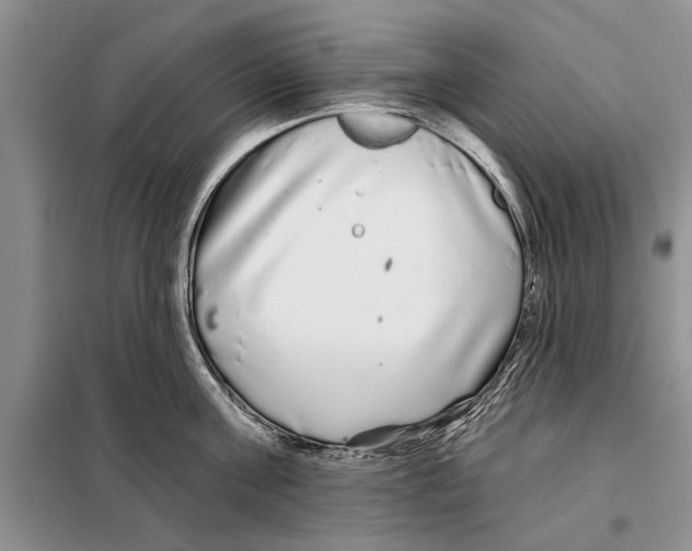 X0000097870811200804110923
