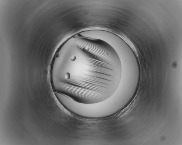 X0000097870813200804110923
