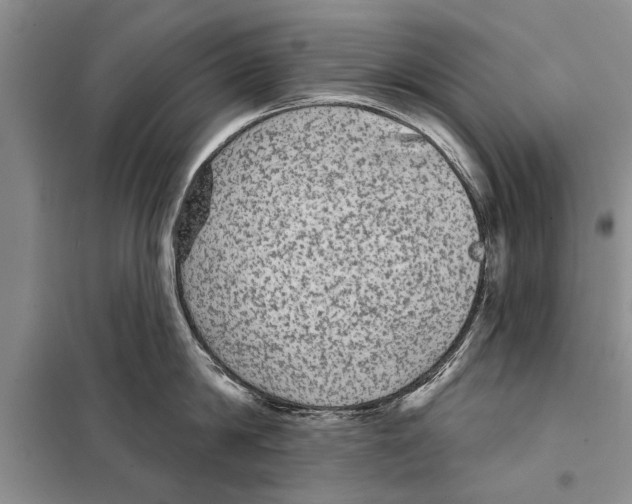 X0000097870814200804110922