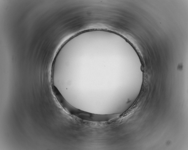 X0000097870815200804110922