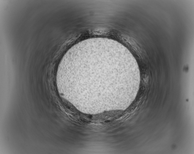 X0000097870817200804110922