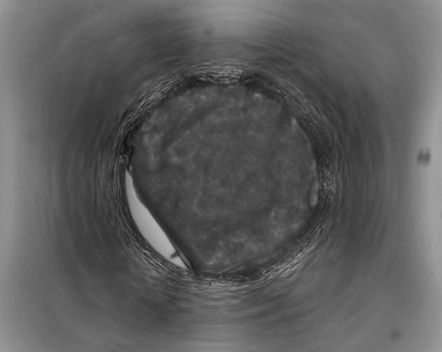 X0000097870818200804110922