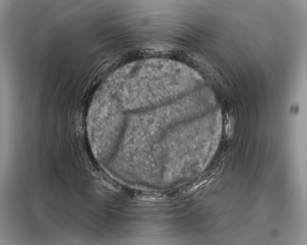 X0000097870819200804110922