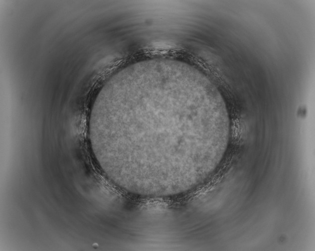 X0000097870820200804110922