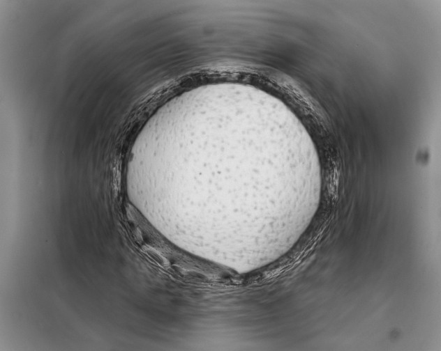 X0000097870821200804110922