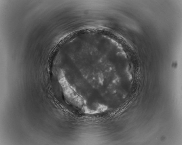X0000097870822200804110922