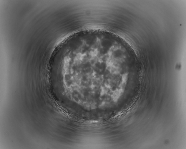 X0000097870823200804110922