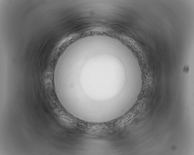 X0000097870824200804110922