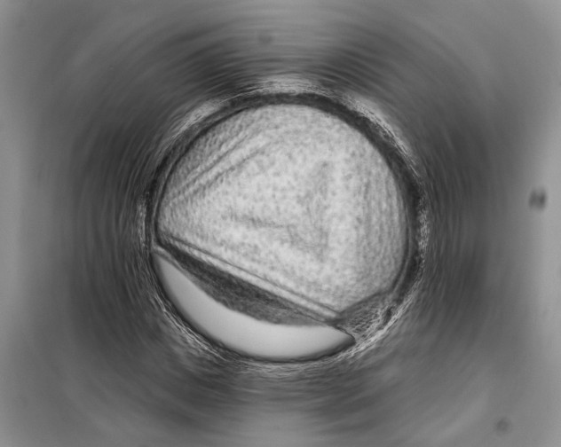 X0000097870825200804110922