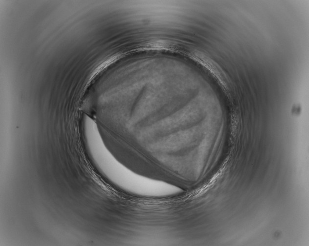 X0000097870826200804110922