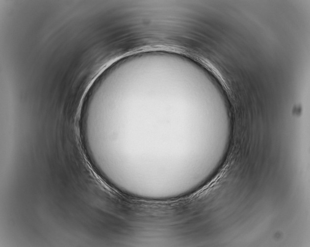 X0000097870828200804110922