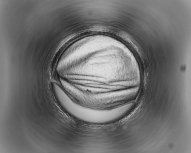 X0000097870829200804110922