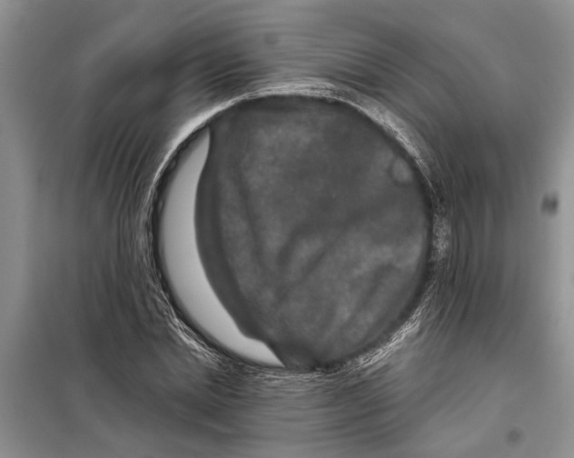 X0000097870830200804110922
