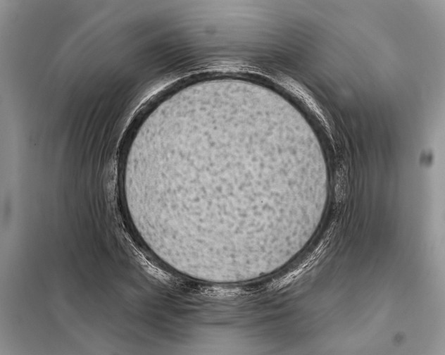 X0000097870831200804110922