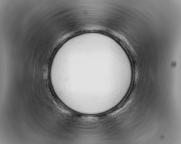 X0000097870833200804110922