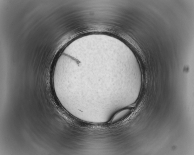 X0000097870834200804110922