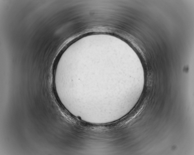 X0000097870837200804110922