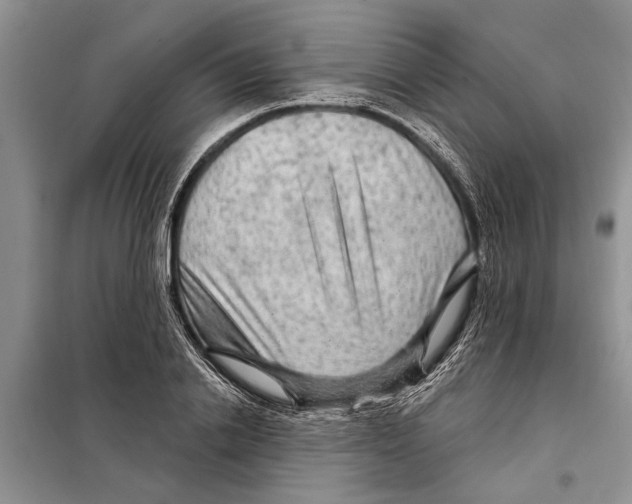 X0000097870838200804110922