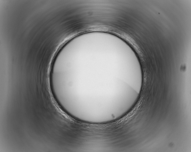 X0000097870840200804110922