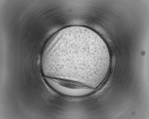 X0000097870841200804110922
