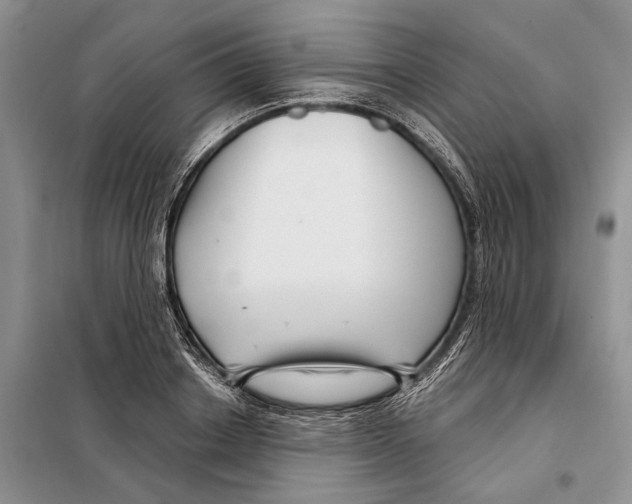 X0000097870842200804110922