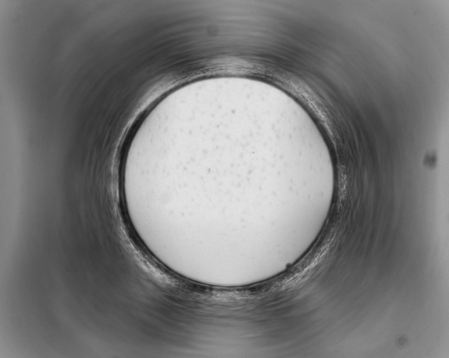 X0000097870843200804110922