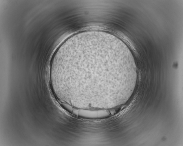 X0000097870844200804110922
