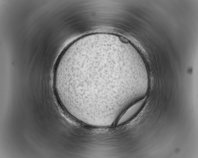 X0000097870846200804110922