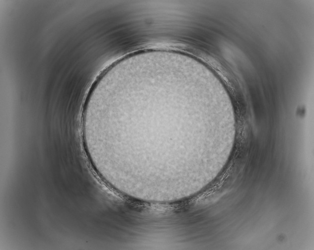 X0000097870848200804110922