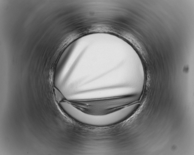 X0000097870849200804110922