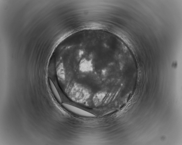 X0000097870850200804110922