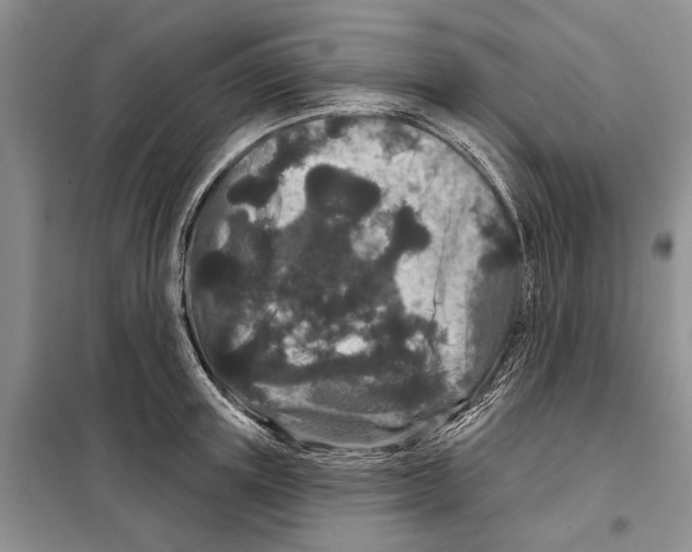 X0000097870851200804110922