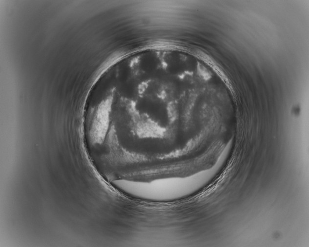 X0000097870853200804110922