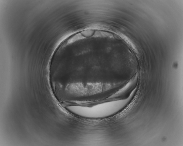 X0000097870854200804110922