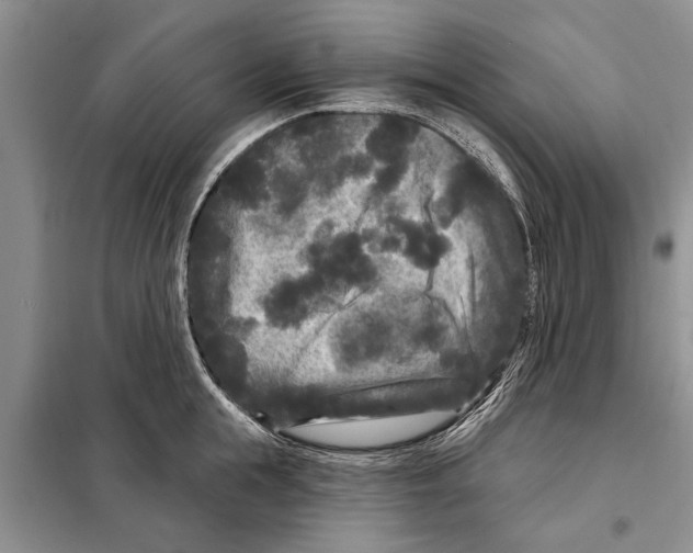 X0000097870855200804110922