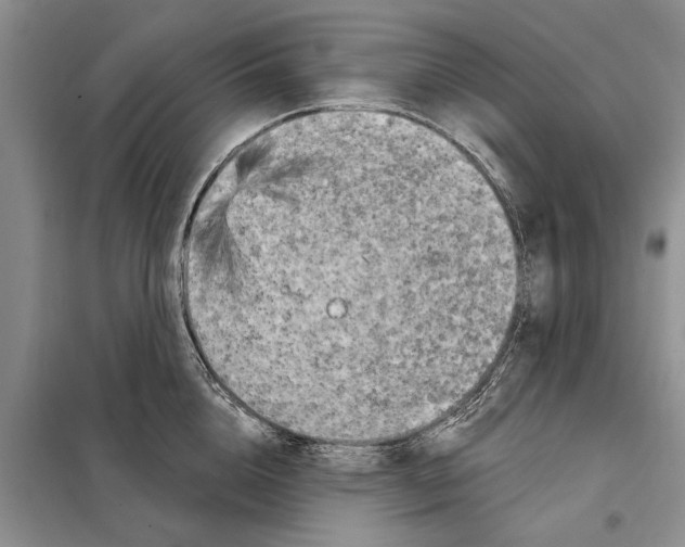 X0000097870856200804110922