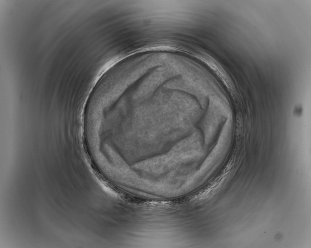 X0000097870858200804110922