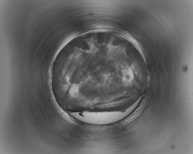 X0000097870859200804110922