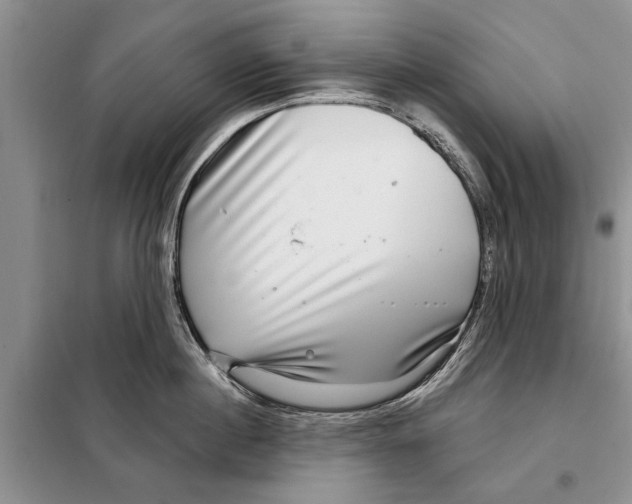 X0000097870860200804110922