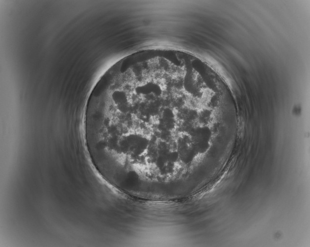 X0000097870863200804110922