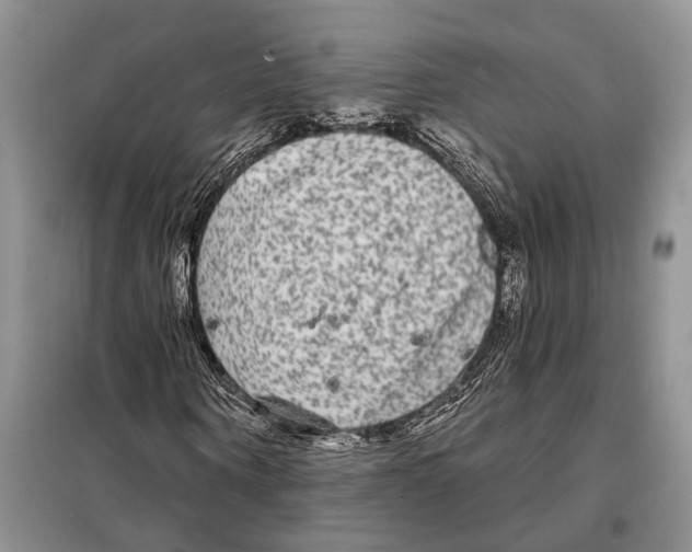 X0000097870866200804110922