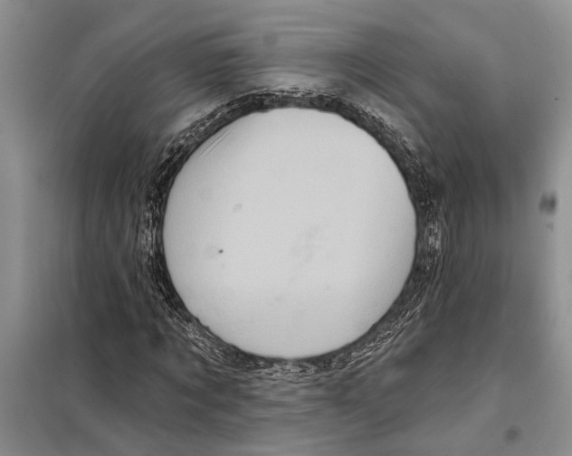 X0000097870869200804110922