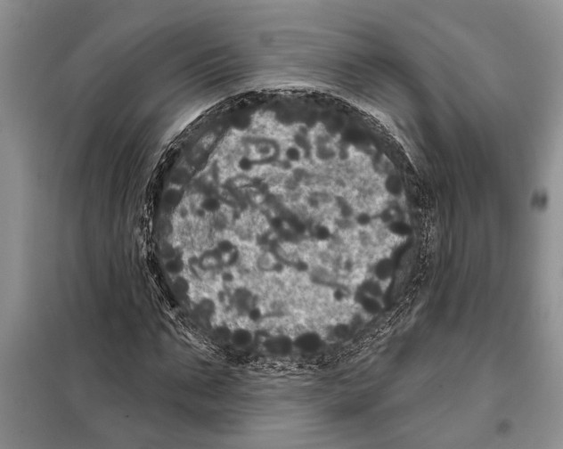 X0000097870871200804110922
